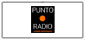 Punto Radio